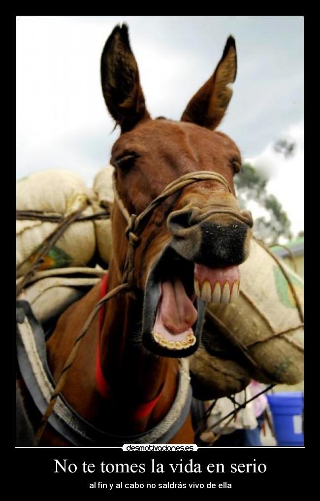 No te tomes la vida en serio -