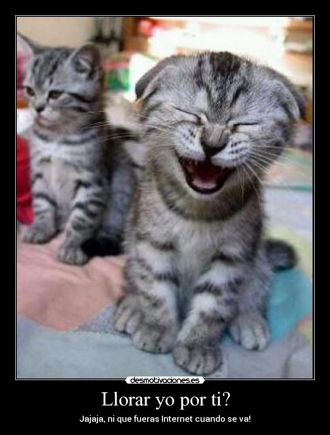 Llorar yo por ti? - Jajaja, ni que fueras Internet cuando se va!