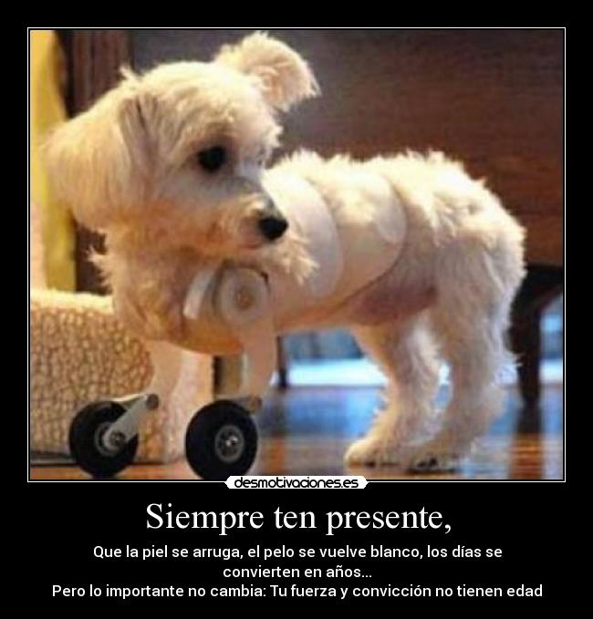 Siempre ten presente, - 