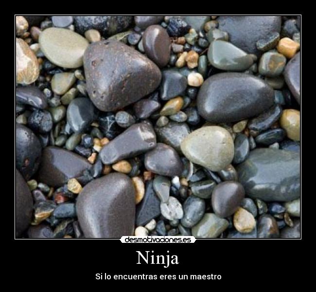 Ninja - Si lo encuentras eres un maestro