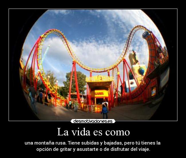 carteles vida like roller coaster lsn desmotivaciones