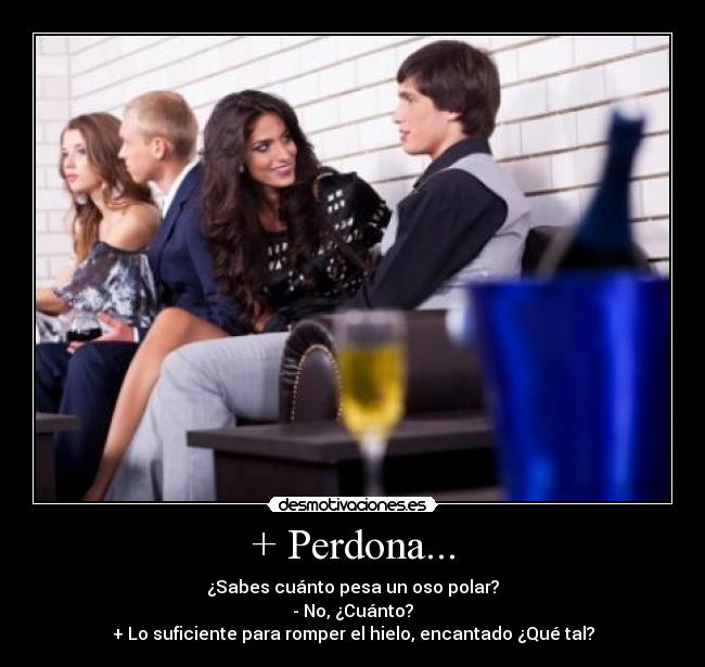 + Perdona... - 