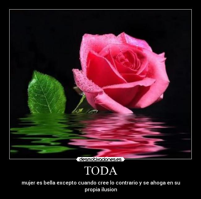TODA - 