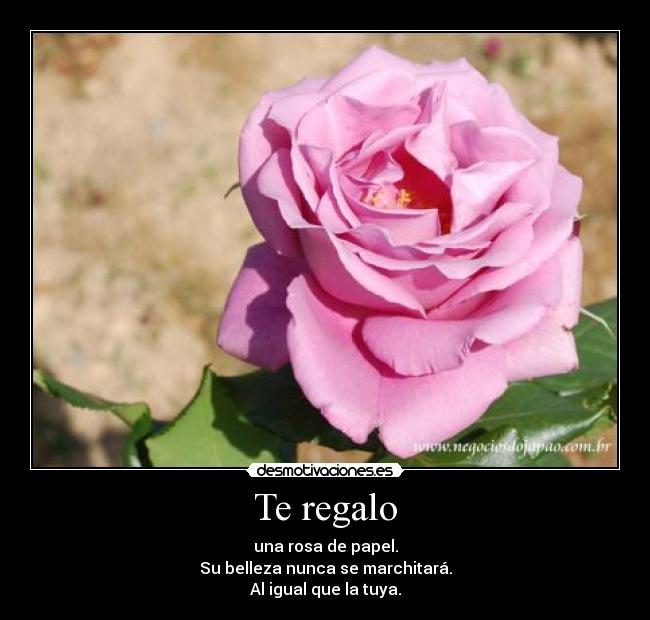 Te regalo - una rosa de papel.
Su belleza nunca se marchitará.
Al igual que la tuya.