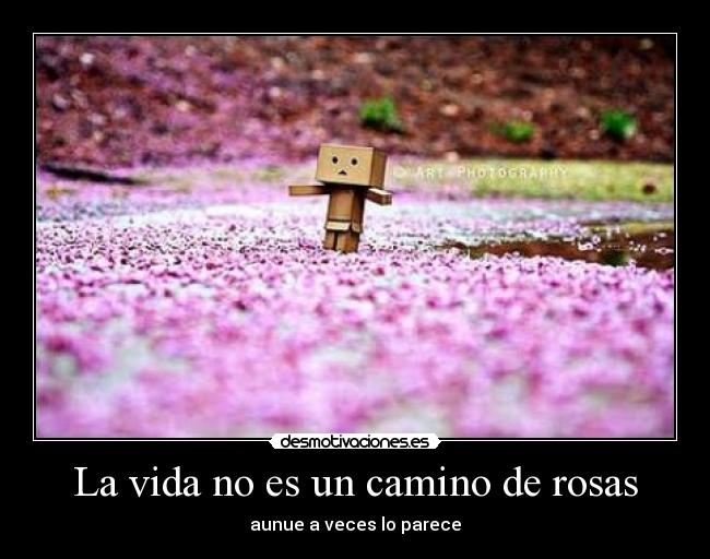 La vida no es un camino de rosas - 