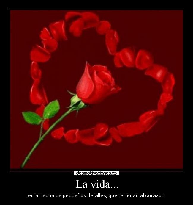 La vida... - 