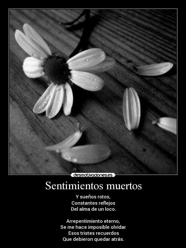 Sentimientos muertos - Y sueños rotos,
Constantes reflejos
Del alma de un loco.
Arrepentimiento eterno,
Se me hace imposible olvidar
Esos tristes recuerdos
Que debieron quedar atrás.