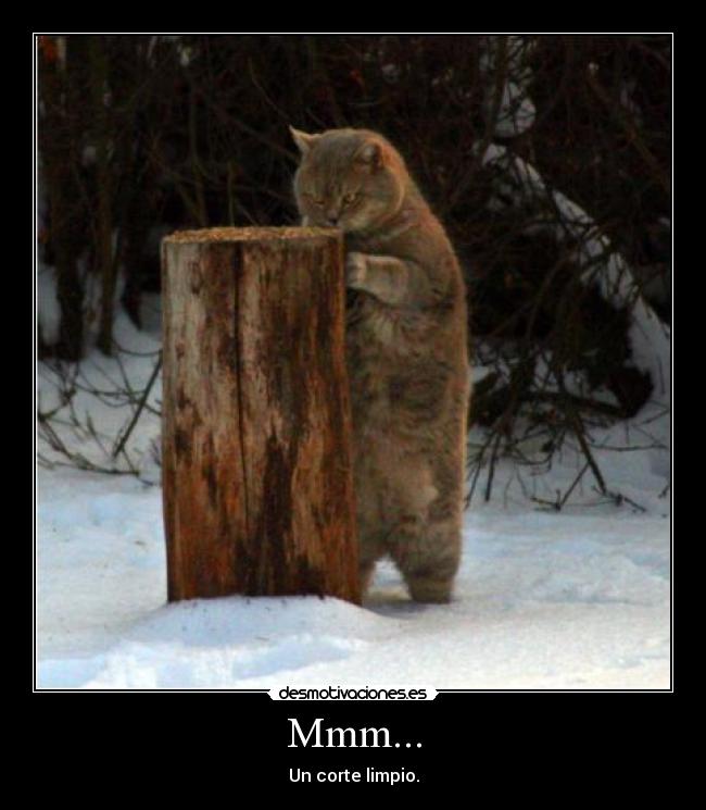 Mmm... - Un corte limpio.