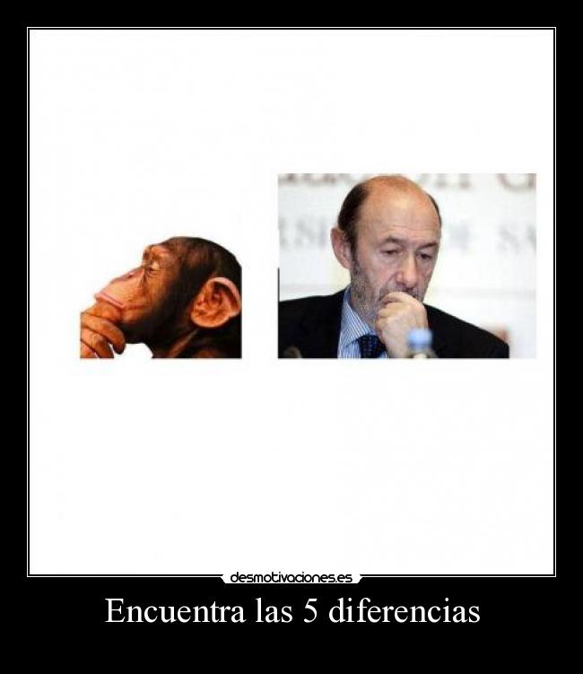 Encuentra las 5 diferencias - 