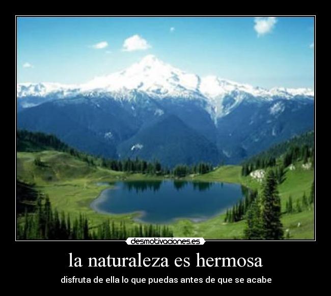 la naturaleza es hermosa - disfruta de ella lo que puedas antes de que se acabe