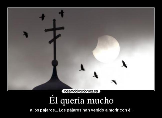 Él quería mucho - a los pajaros... Los pájaros han venido a morir con él.