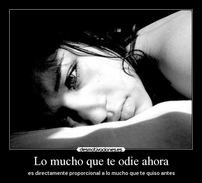 Lo mucho que te odie ahora -