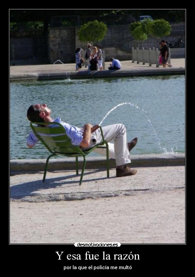 carteles diego party multaron injustmente desmotivaciones