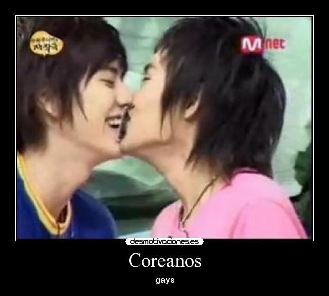 Coreanos - gays