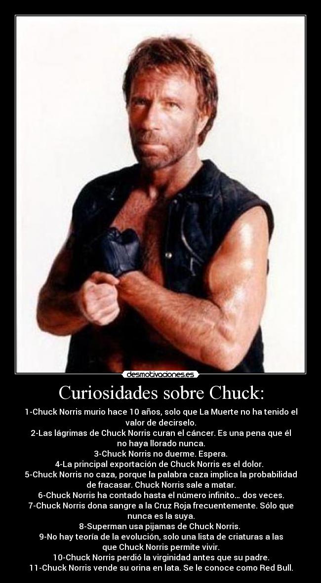 Curiosidades sobre Chuck: -
