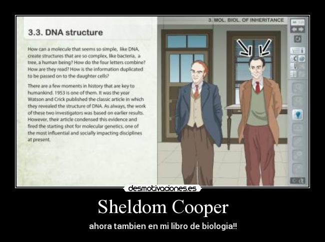 Sheldom Cooper -
