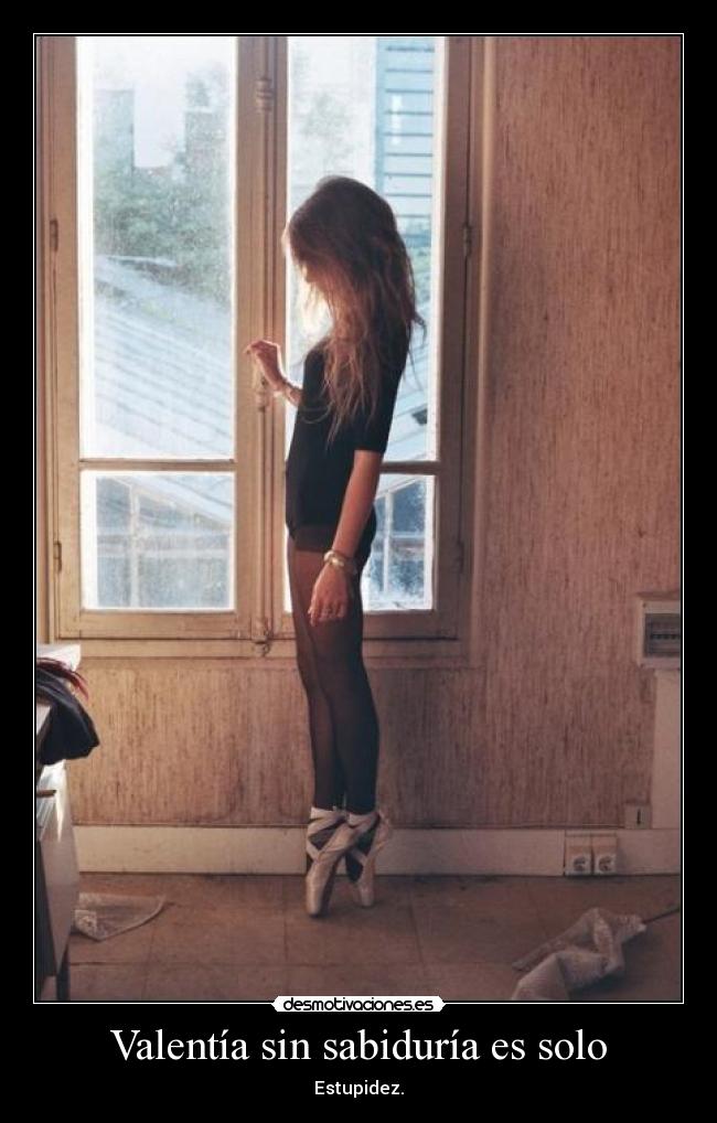 Valentía sin sabiduría es solo -