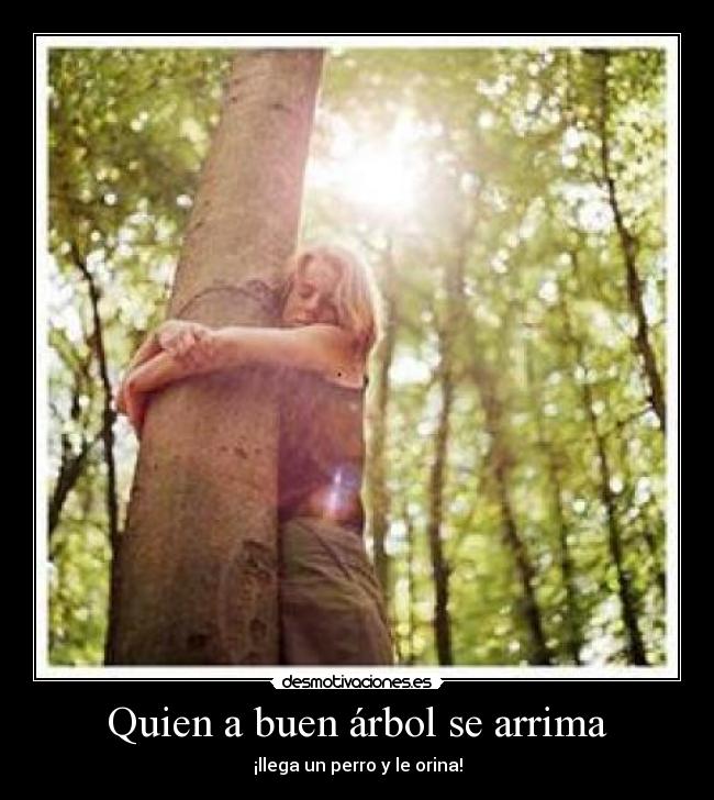 Quien a buen árbol se arrima -