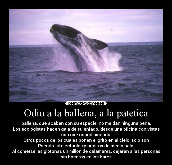 Odio a la ballena, a la patetica - ballena, que acaben con su especie, no me dan ninguna pena.
Los ecologistas hacen gala de su enfado, desde una oficina con vistas
con aire acondicionado.
Otros pocos de los cuales ponen el grito en el cielo, solo son
Pseudo-intelectuales y artistas de medio pelo.
Al comerse las glotonas un millon de calamares, dejaran a las personas
sin bocatas en los bares