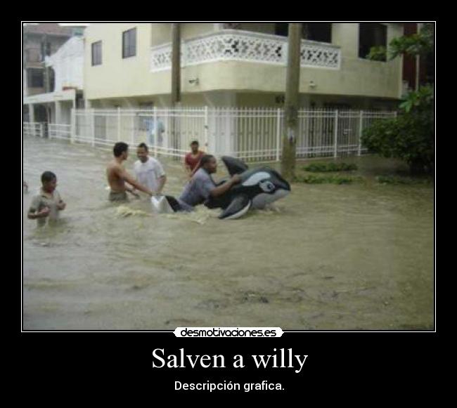 Salven a willy - Descripción grafica.