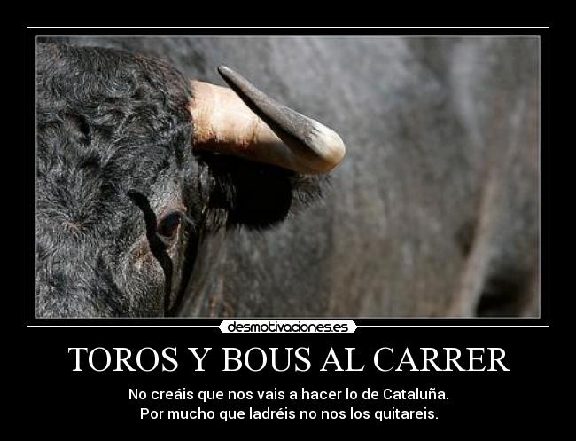 TOROS Y BOUS AL CARRER -