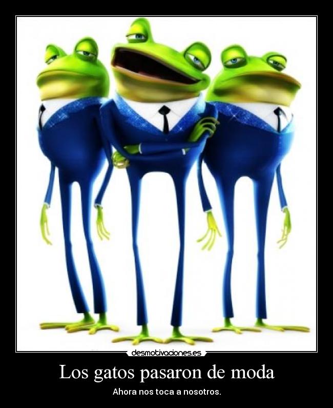 Los gatos pasaron de moda - 