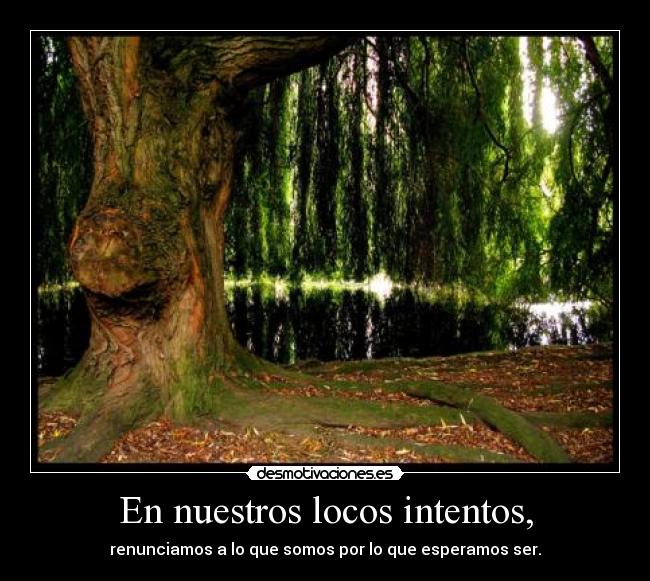 En nuestros locos intentos, - renunciamos a lo que somos por lo que esperamos ser.