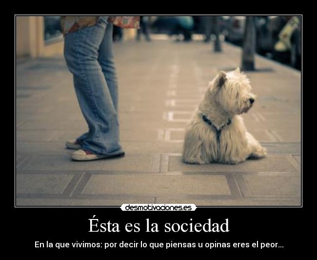 Ésta es la sociedad - En la que vivimos: por decir lo que piensas u opinas eres el peor...