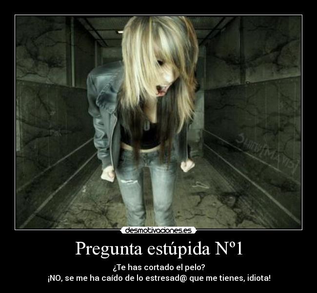 Pregunta estúpida Nº1 - ¿Te has cortado el pelo?
¡NO, se me ha caído de lo estresad@ que me tienes, idiota!