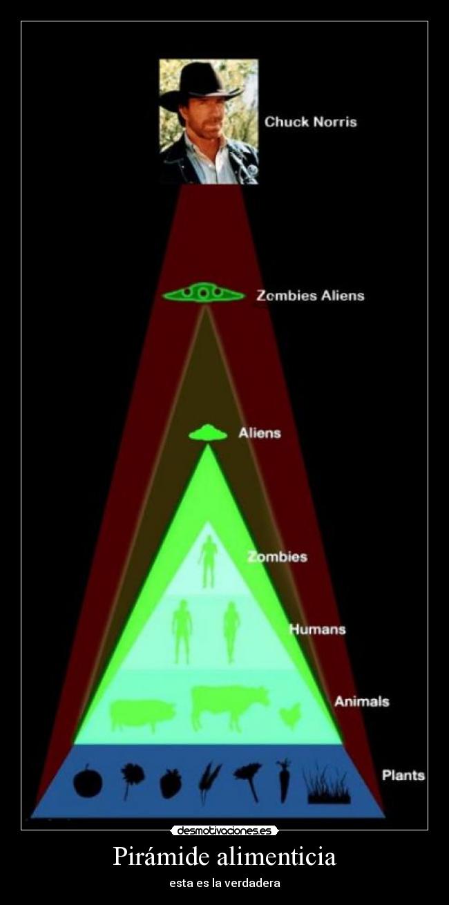 Pirámide alimenticia - esta es la verdadera