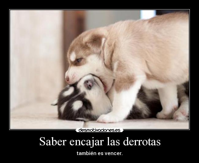 Saber encajar las derrotas - 