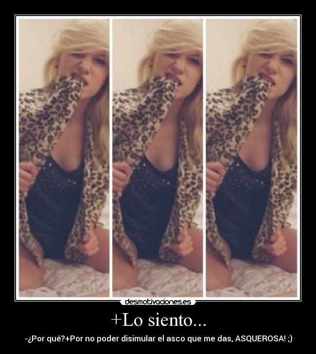 carteles siento desmotivaciones