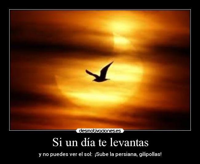 Si un día te levantas -