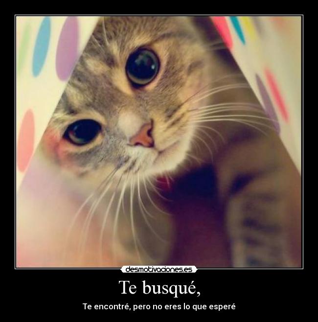 Te busqué, - Te encontré, pero no eres lo que esperé