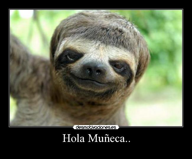 Hola Muñeca.. - 