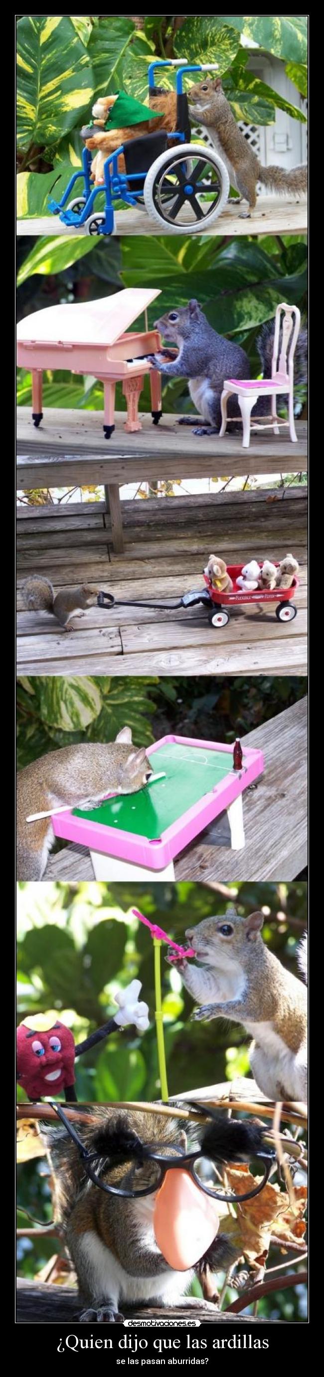 ¿Quien dijo que las ardillas -