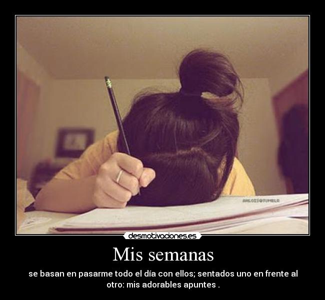 Mis semanas -