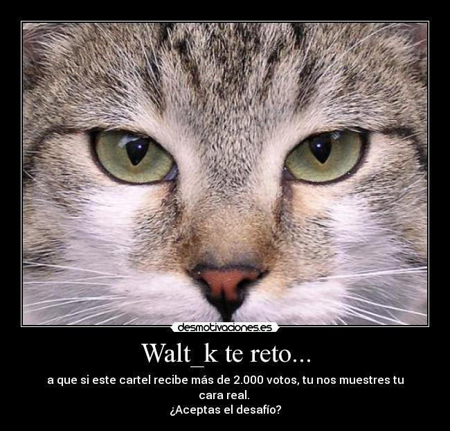 Walt_k te reto... - a que si este cartel recibe más de 2.000 votos, tu nos muestres tu cara real. 
¿Aceptas el desafío?