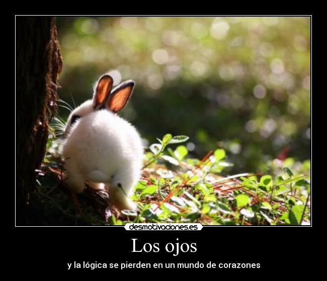 Los ojos - y la lógica se pierden en un mundo de corazones