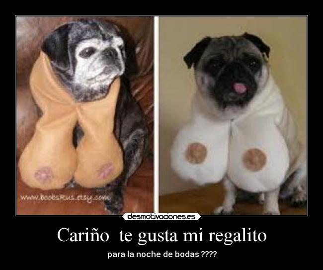 Cariño  te gusta mi regalito - para la noche de bodas ????