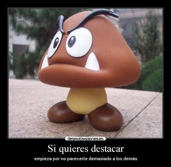 Si quieres destacar -