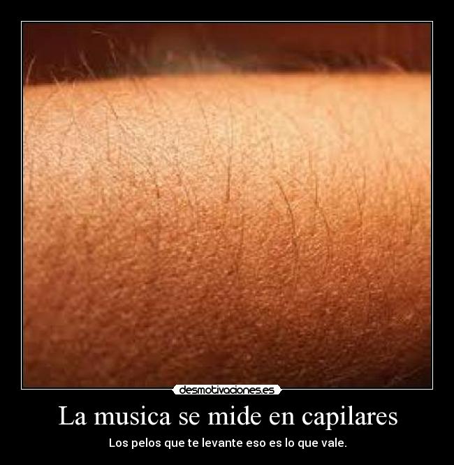 La musica se mide en capilares - Los pelos que te levante eso es lo que vale.