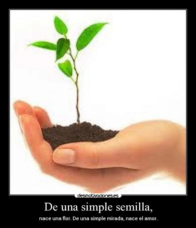 carteles amor desmotivaciones