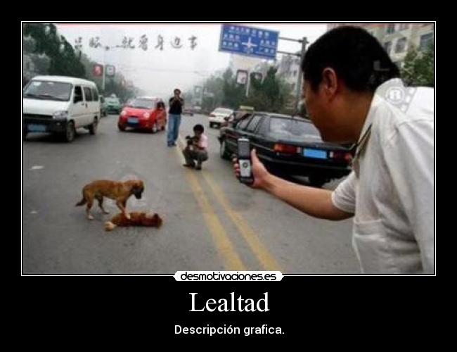 Lealtad -
