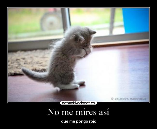 No me mires así - que me pongo rojo