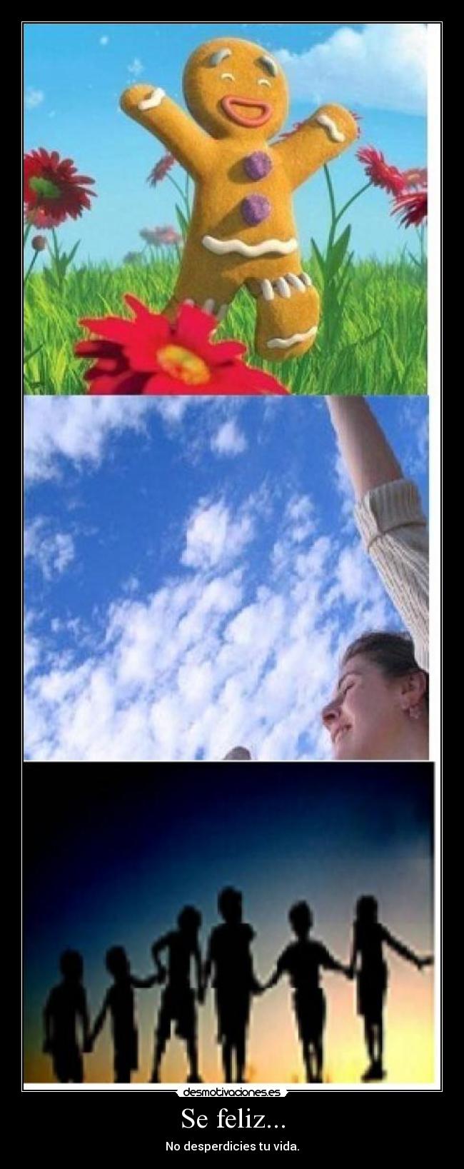 carteles felicidad desmotivaciones