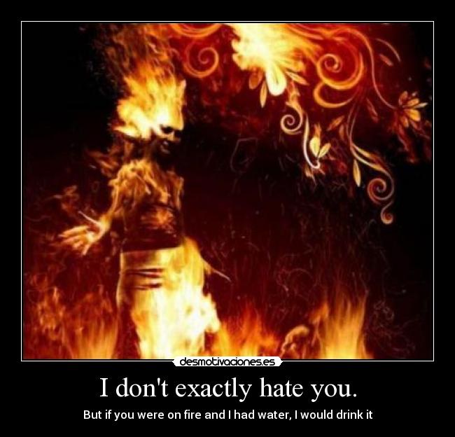 I dont exactly hate you. - But if you were on fire and I had water, I would drink it