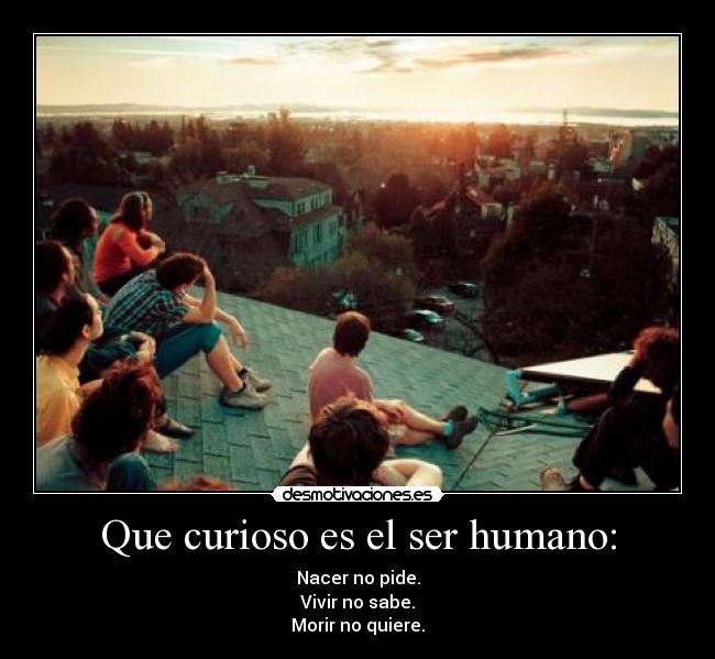 Que curioso es el ser humano: - 