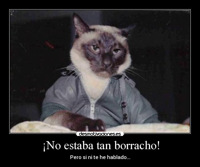 ¡No estaba tan borracho! - 