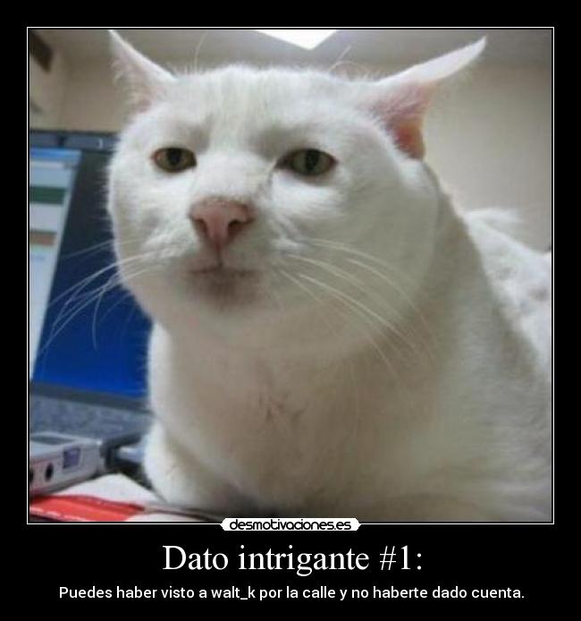 carteles walt dato intrigante desmotivaciones
